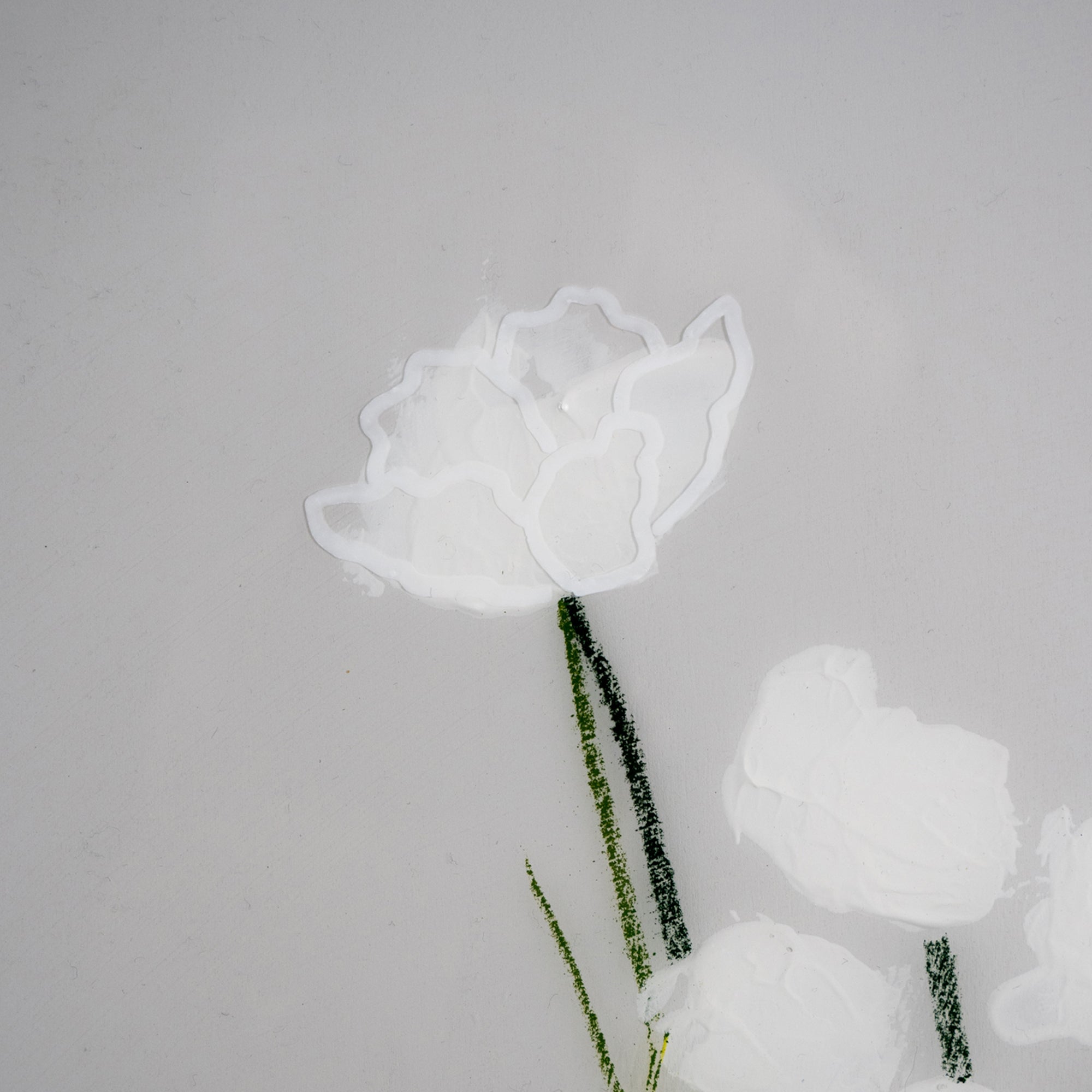 'Arctic Bloom'