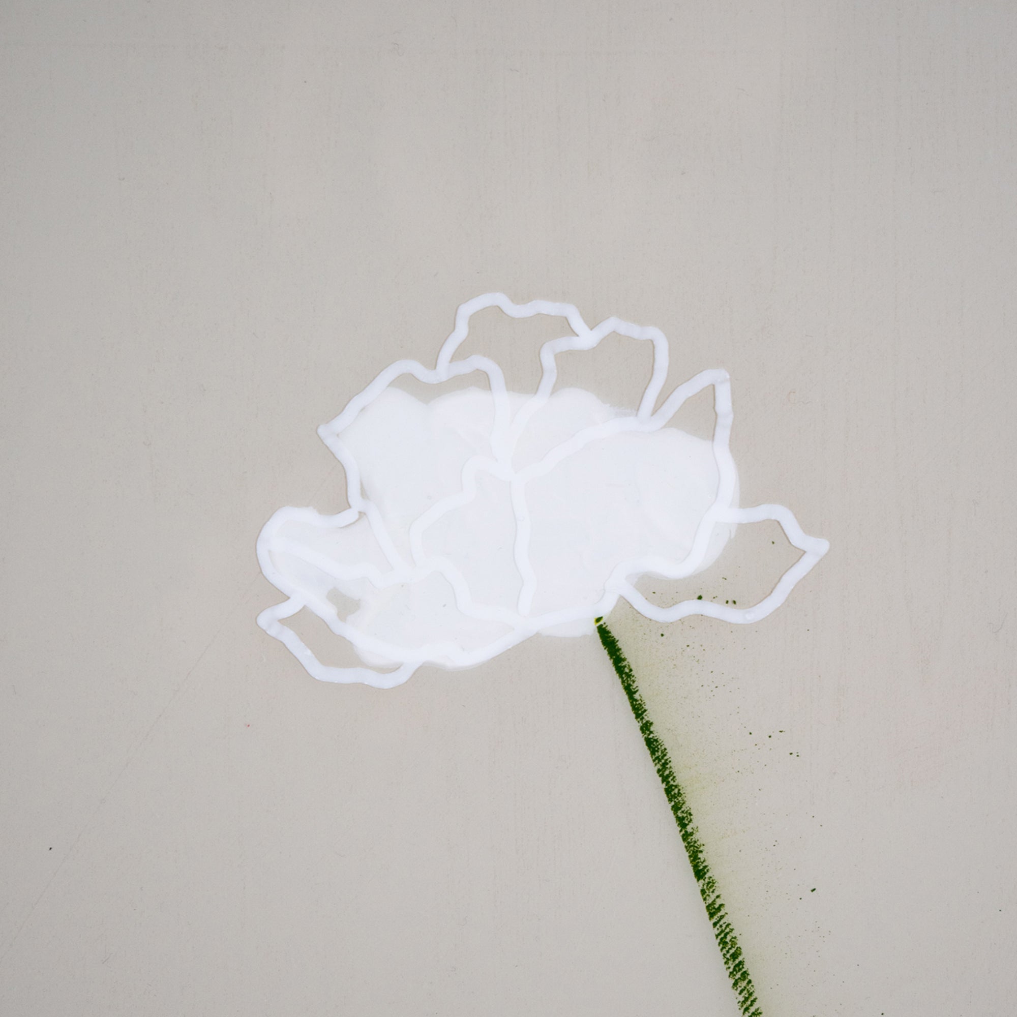 'Bubblegum Bloom'